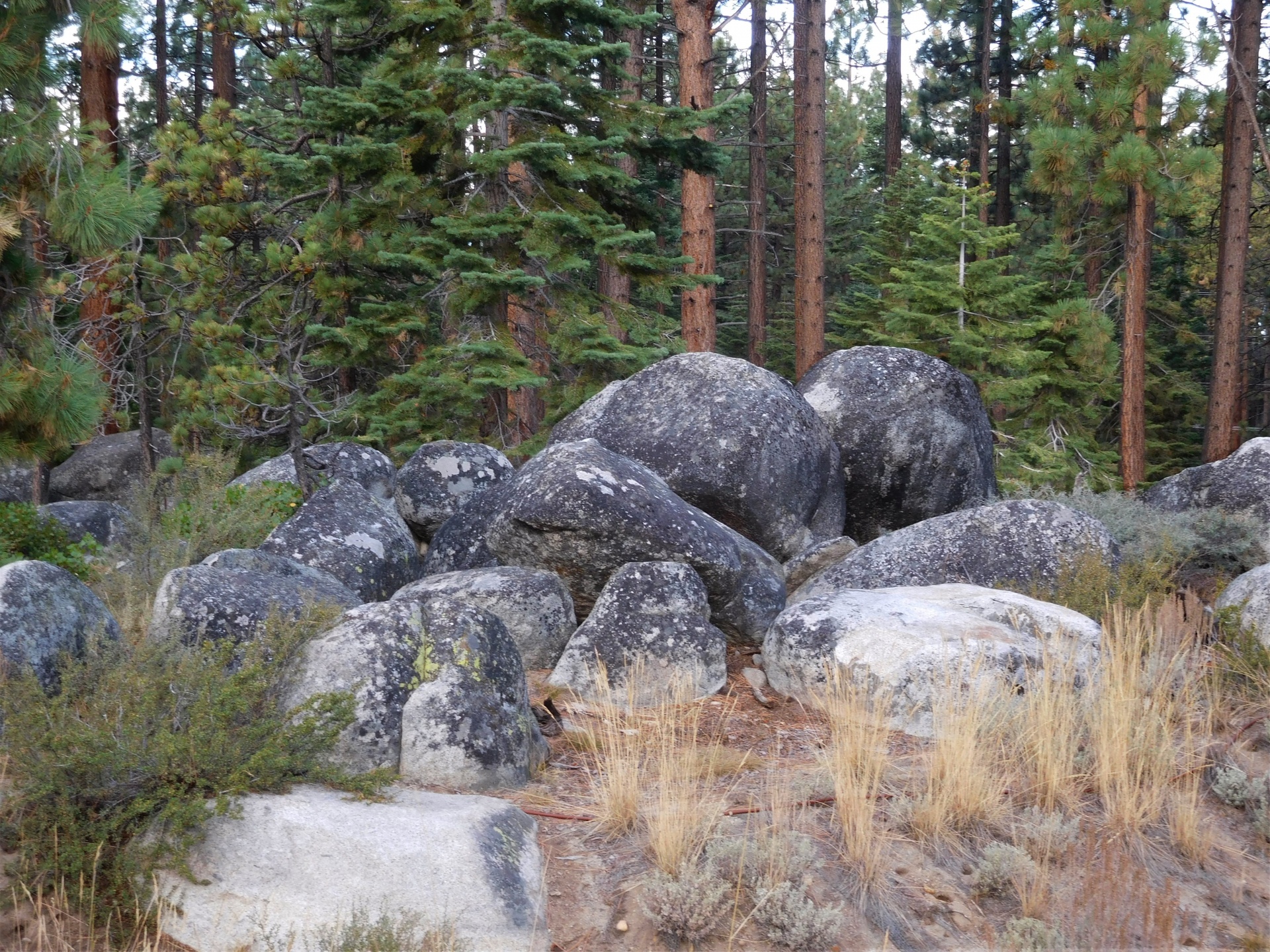 boulders rocks trees free photo