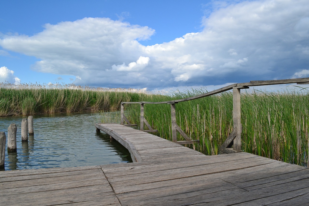 lake tisza nature trail and free photo