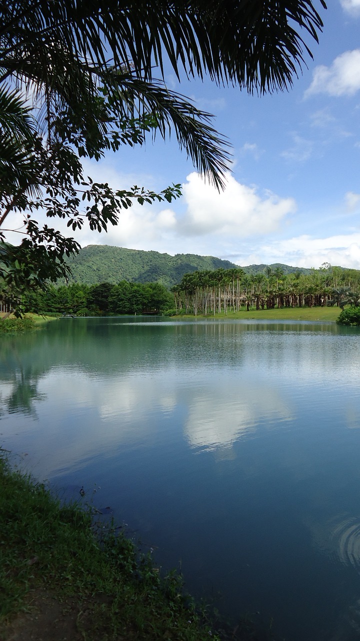 lake view landscape tropical wind free photo