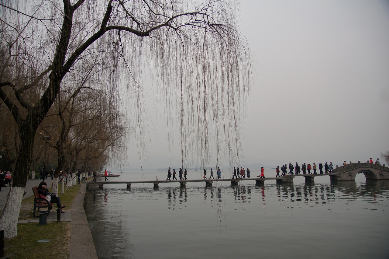 lake view weeping willow west lake free photo