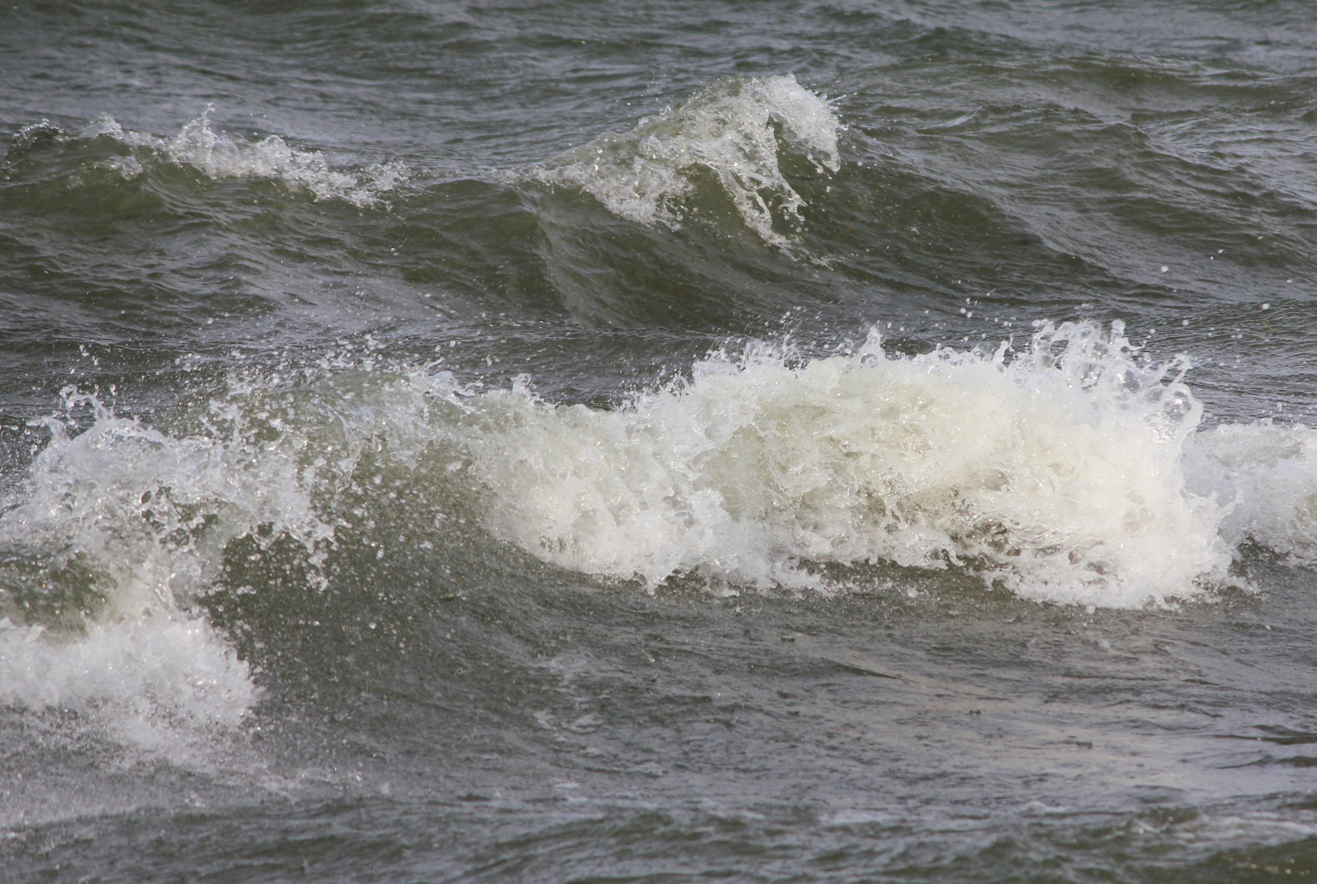 waves lake windy free photo