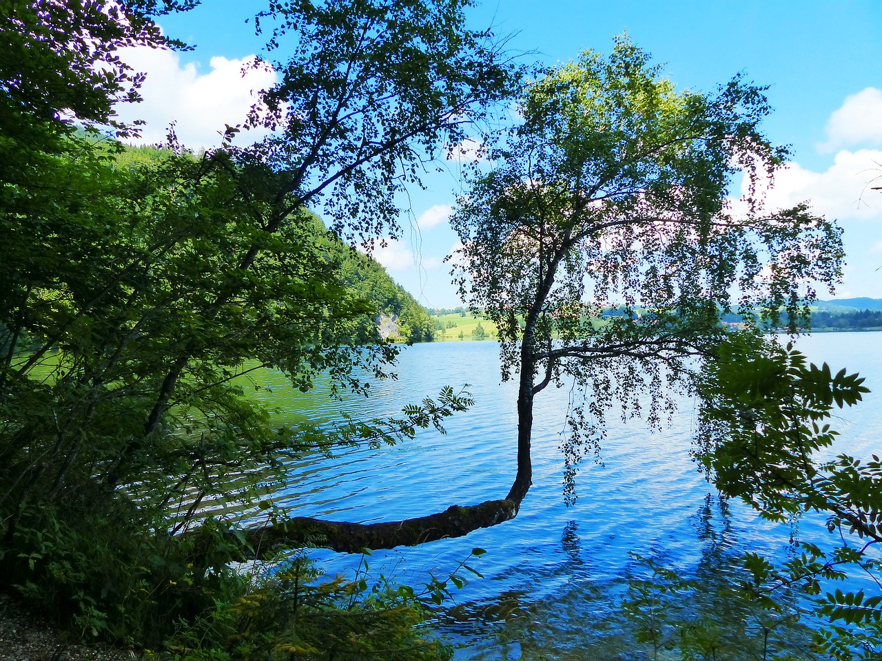 lake weissensee lake waters free photo