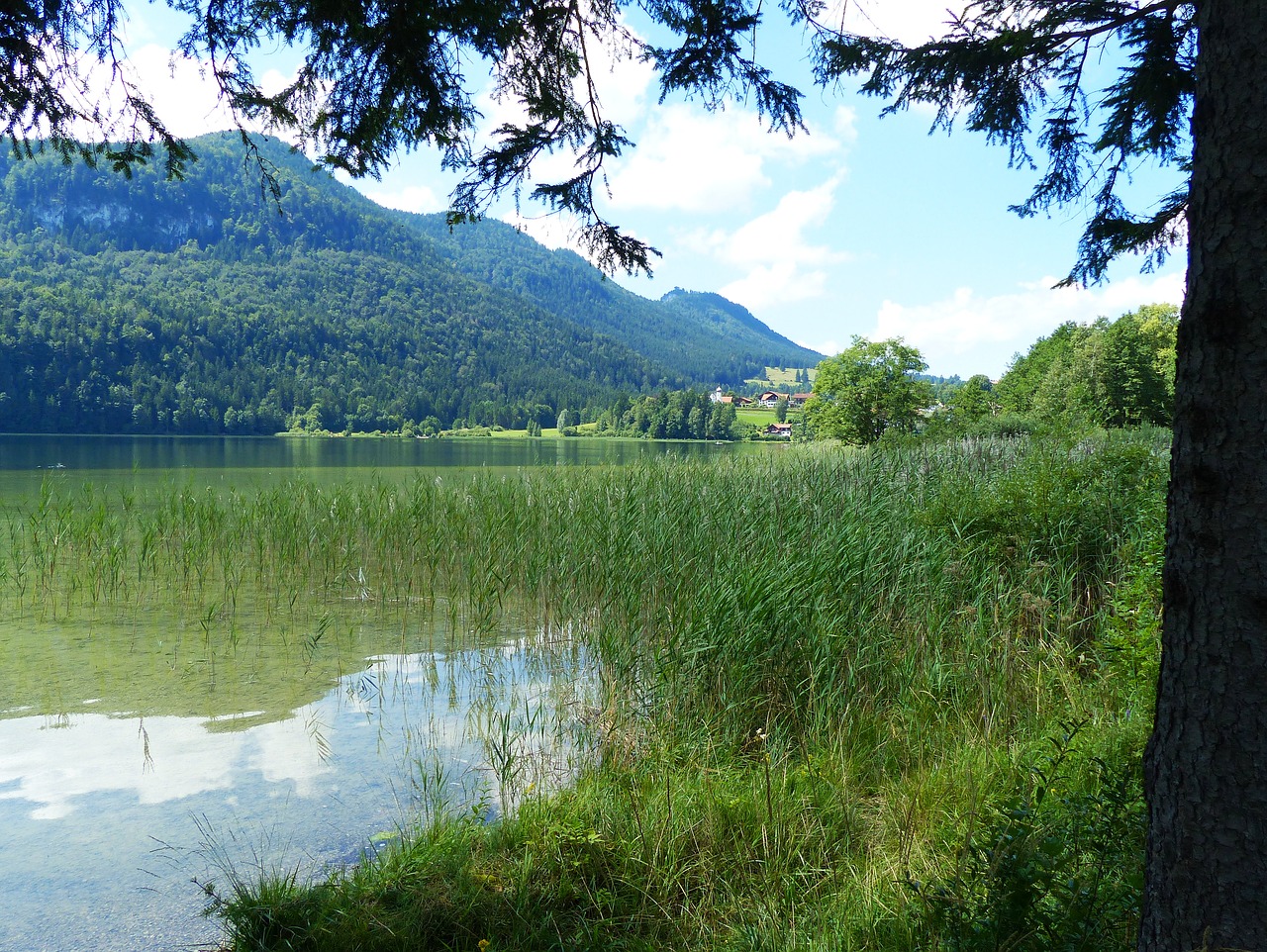 lake weissensee lake waters free photo