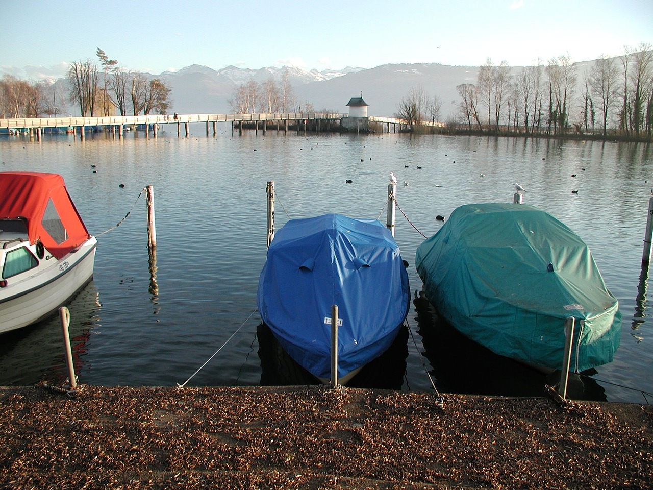 lake zurich boats view free photo