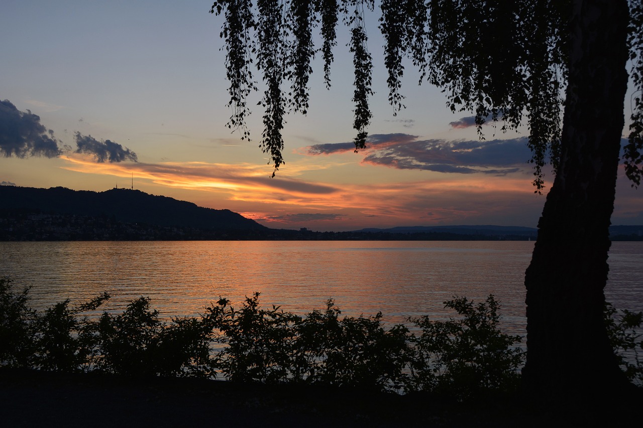 sunset evening sun lake free photo