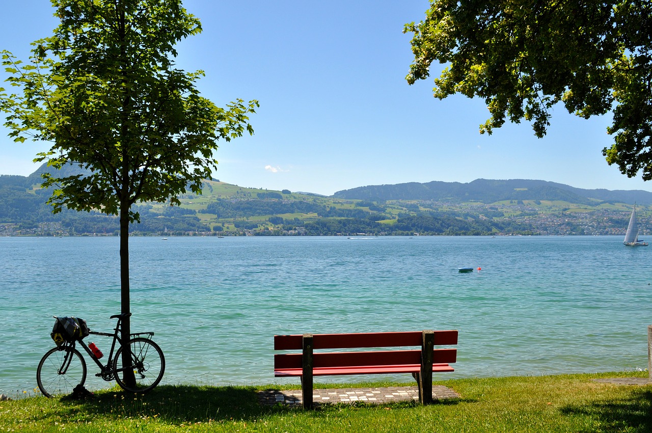 lake zurich park bench water free photo