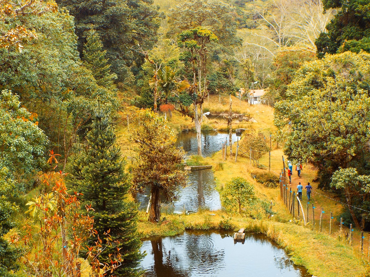 lakes costa rica forest free photo