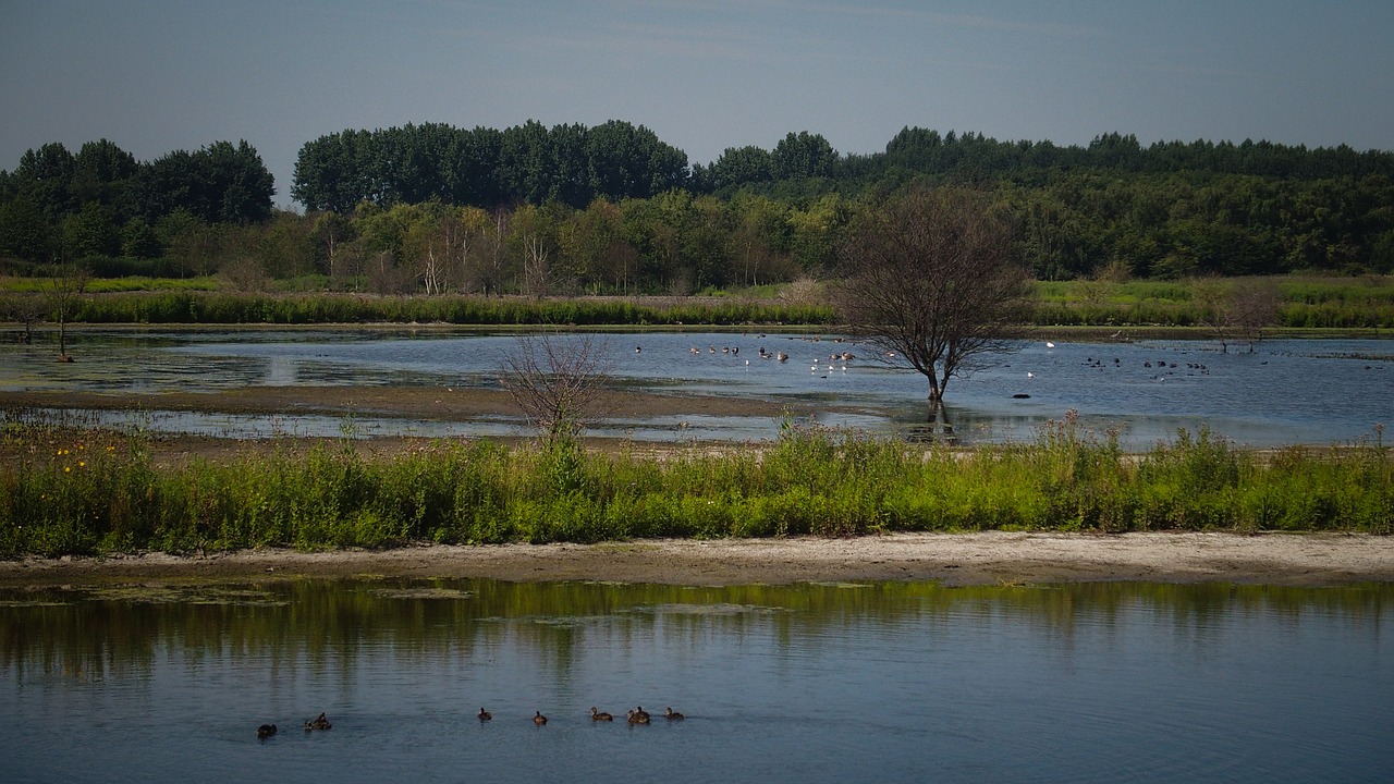 lakes water nature free photo