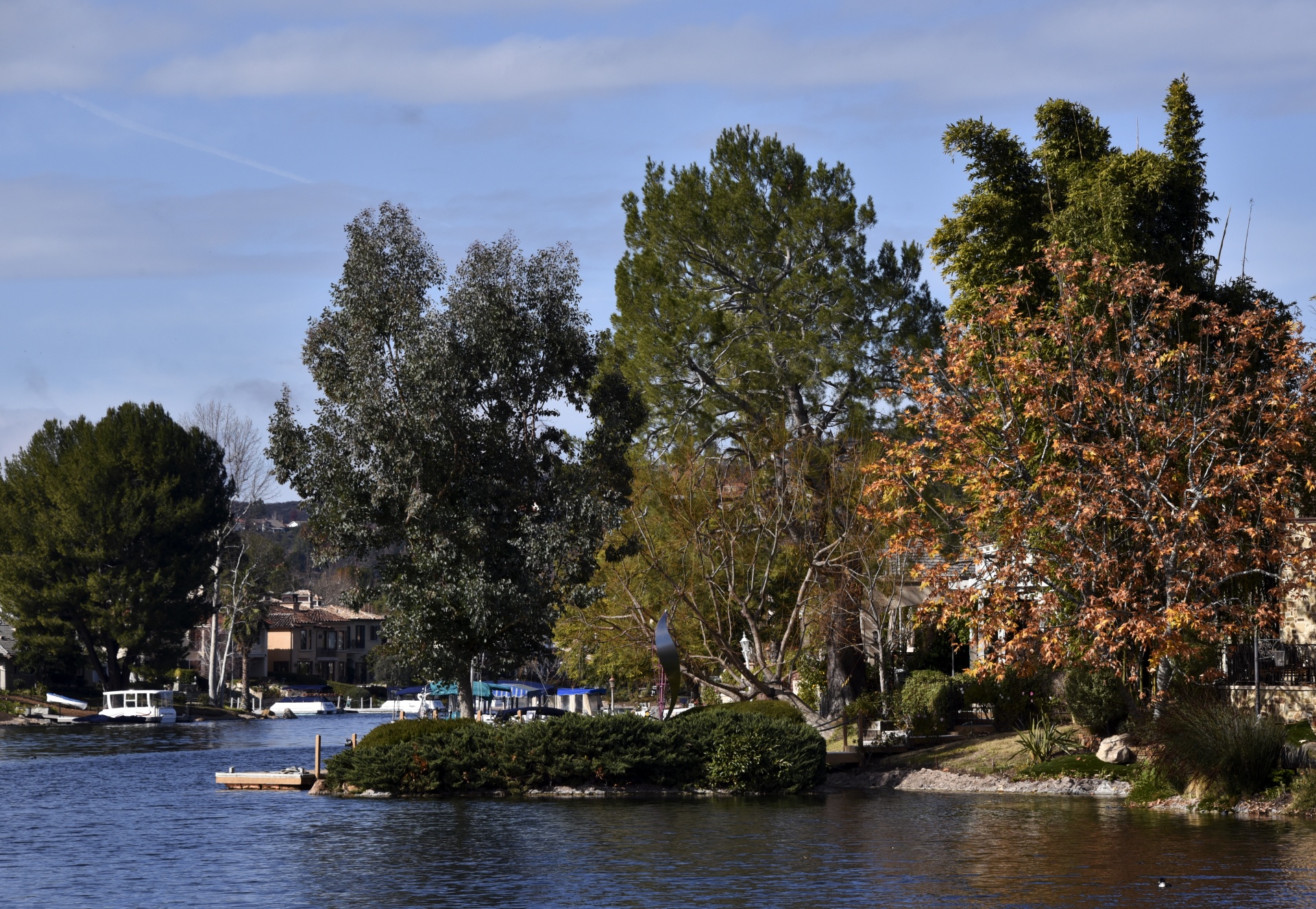 lake trees water free photo