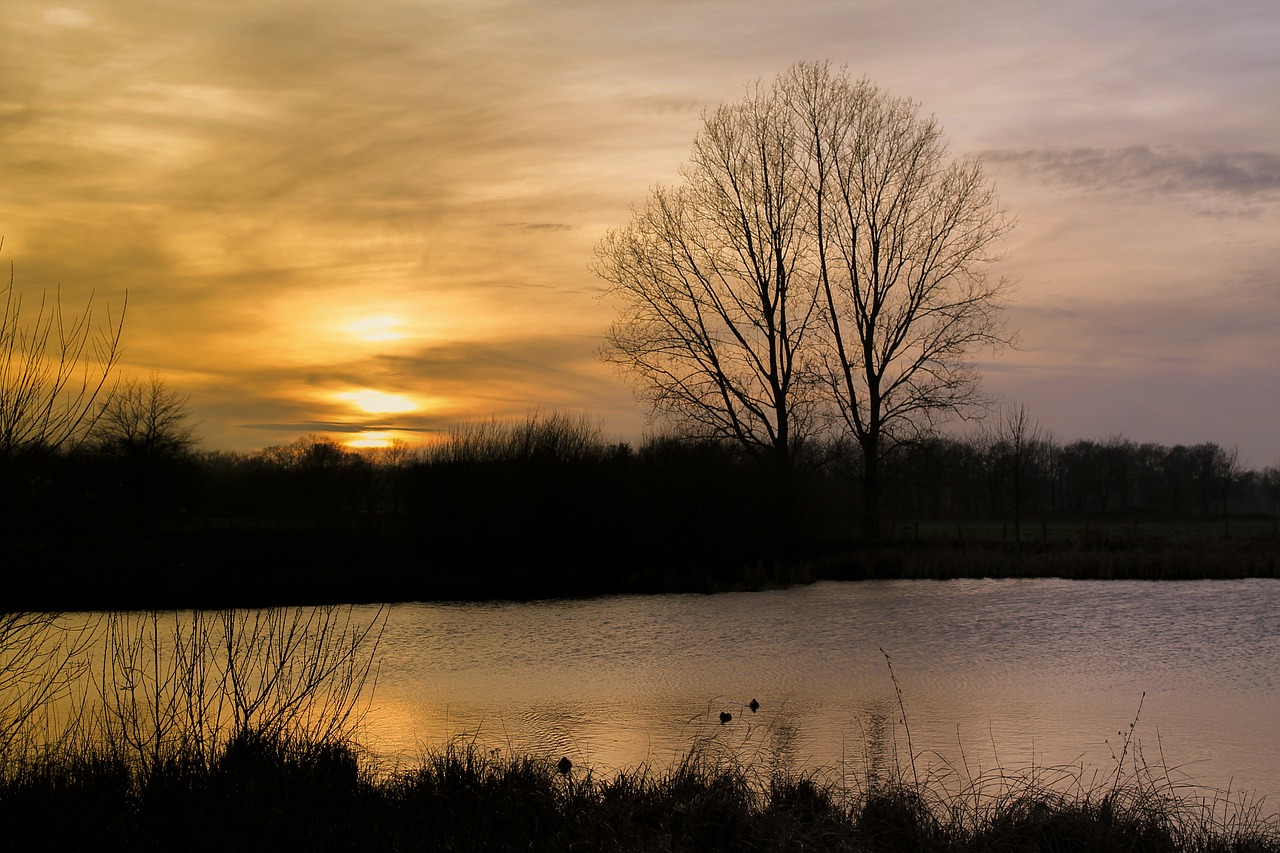 lakeside bank evening free photo