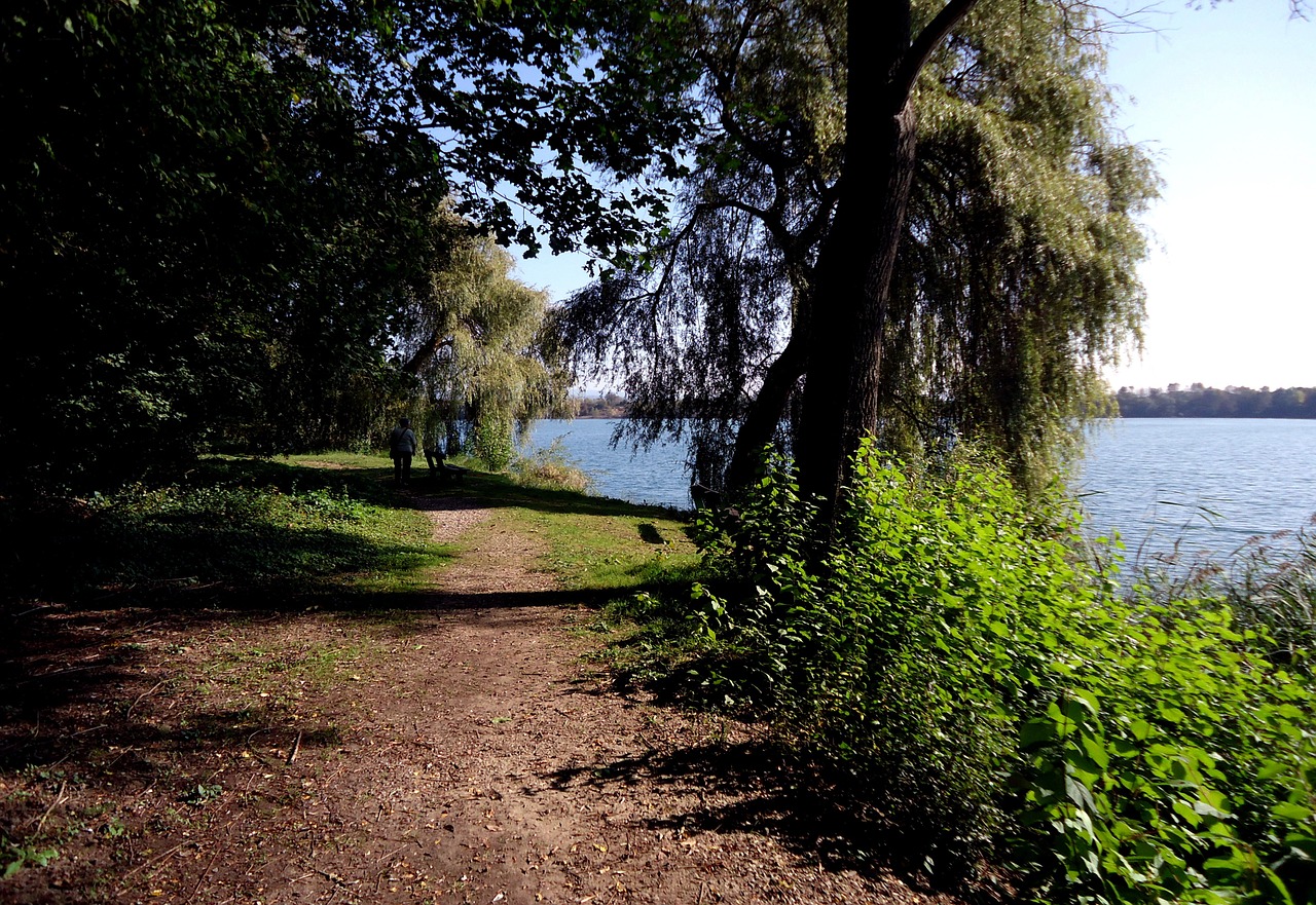 seascape lakeside trail free photo