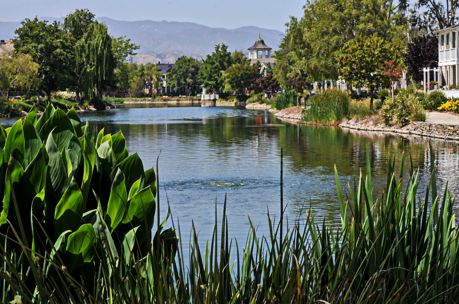 lake man made lake homes free photo