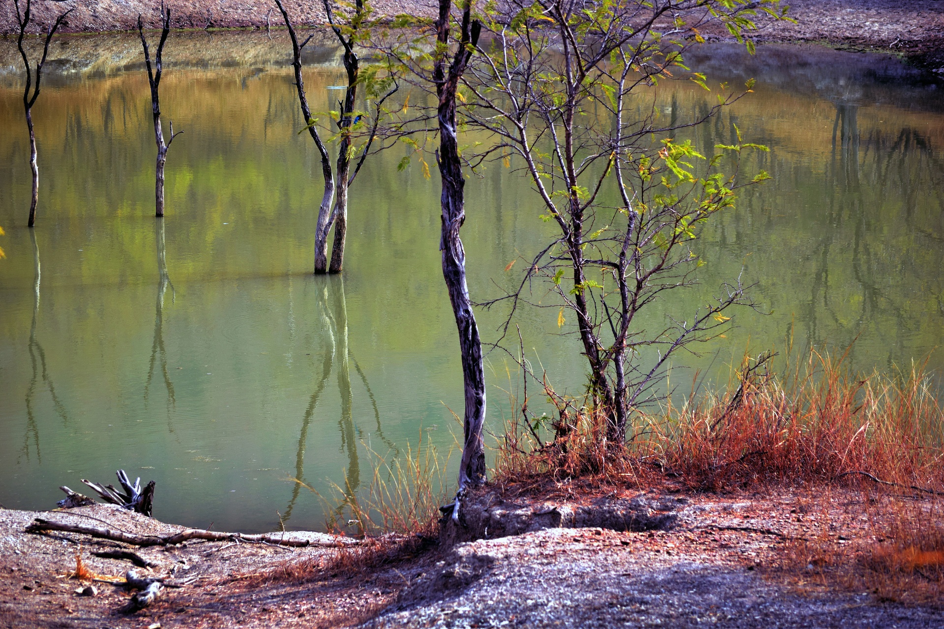 lake pond water free photo