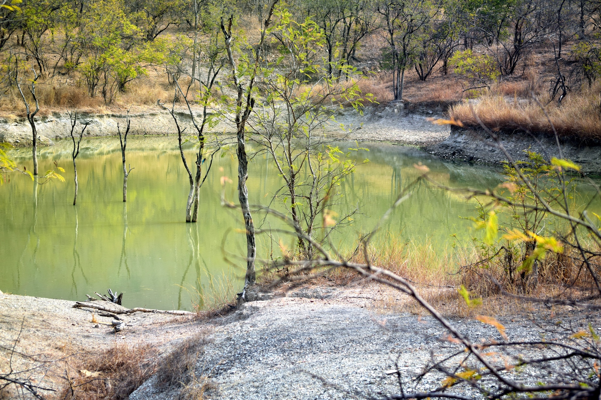 lake pond water free photo