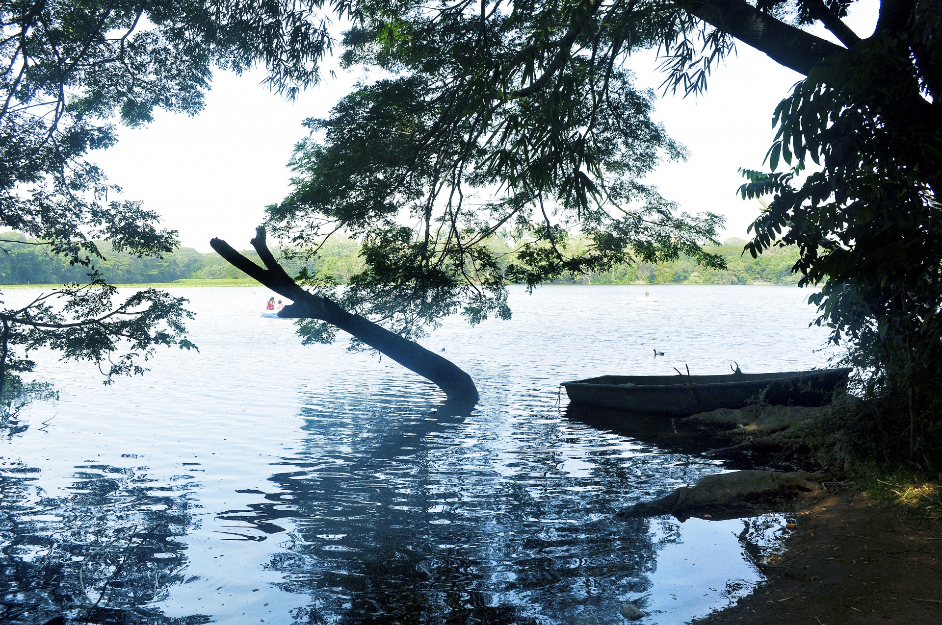 boat lake water free photo