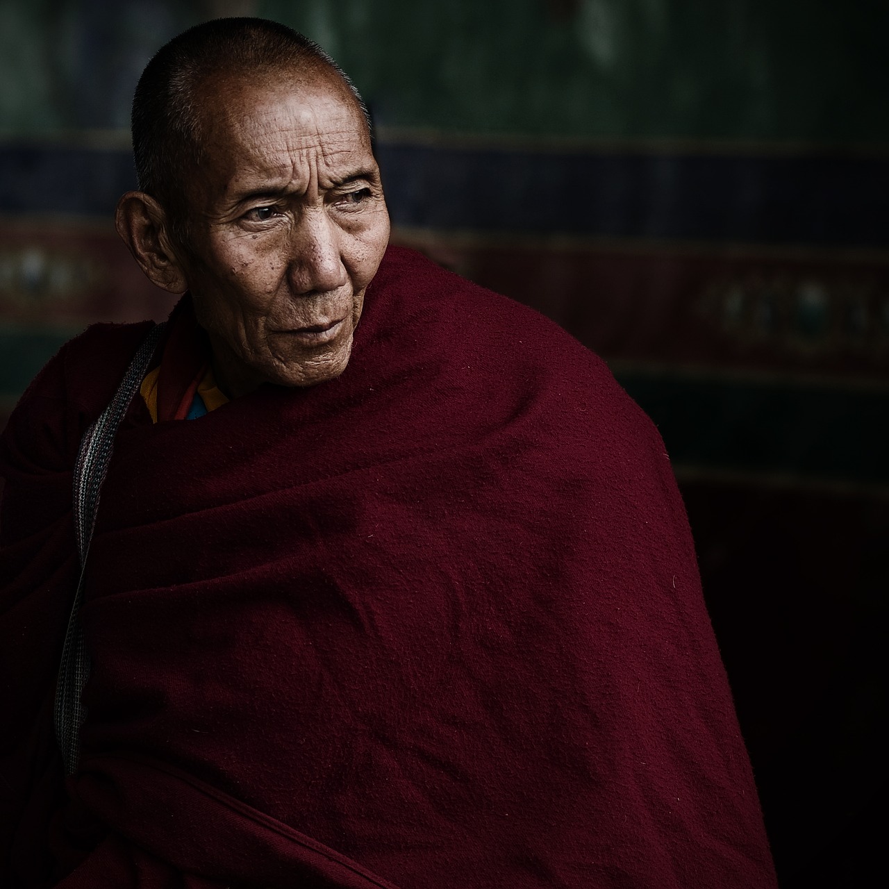 lama tibet vicissitudes free photo