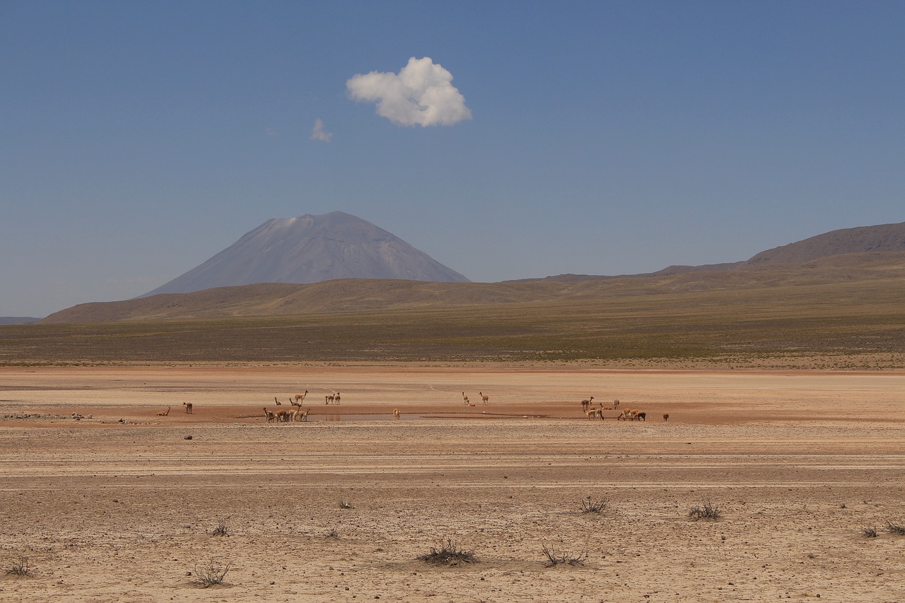 lama mountains desert free photo