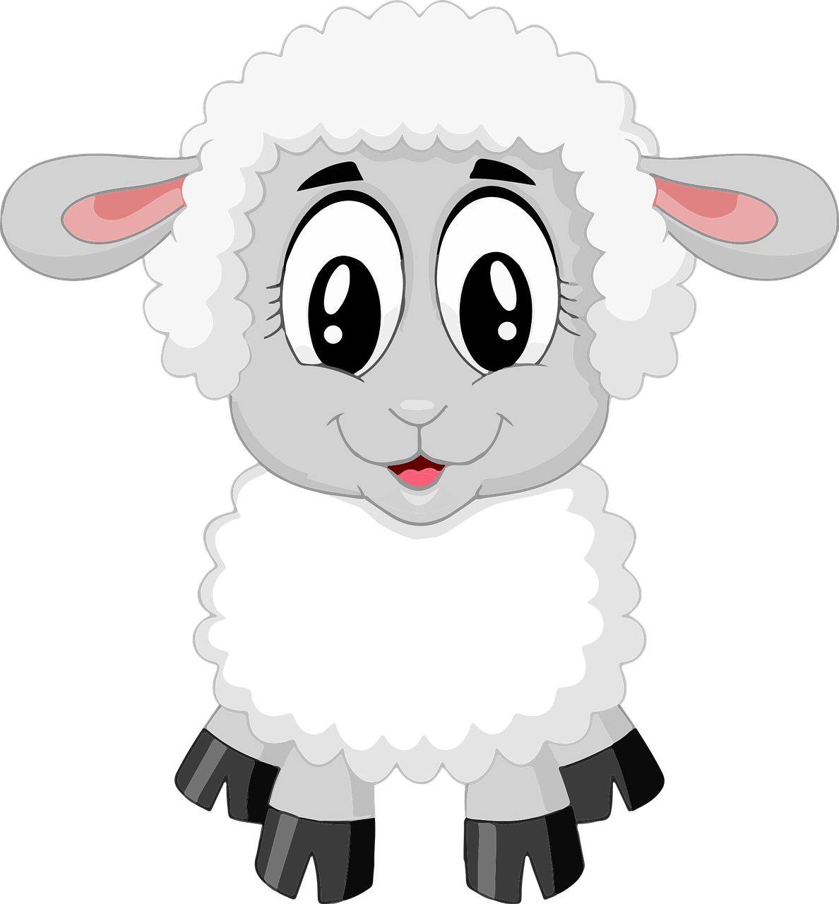 lamb sheep cute free photo