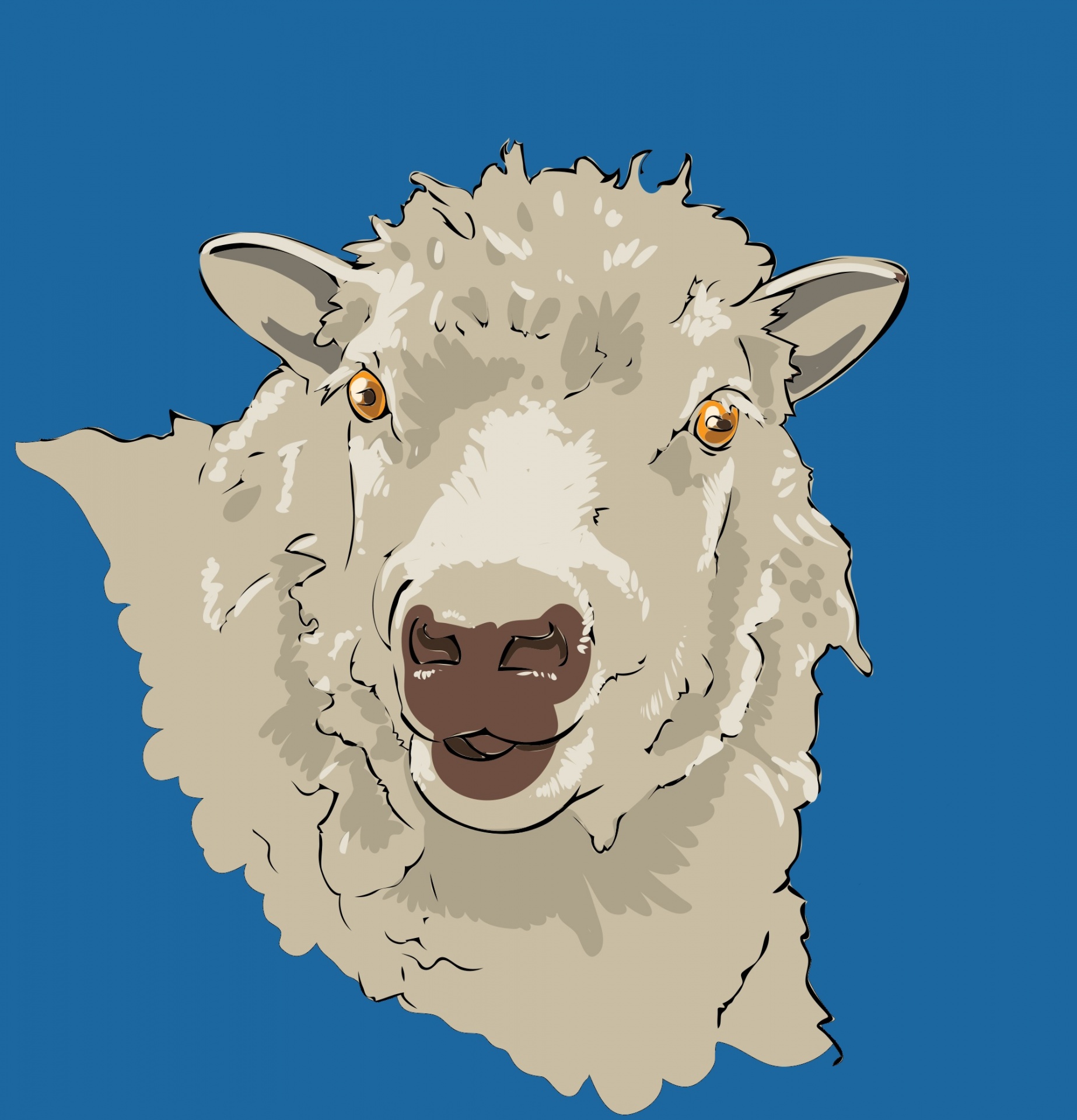lamb sheep portrait free photo