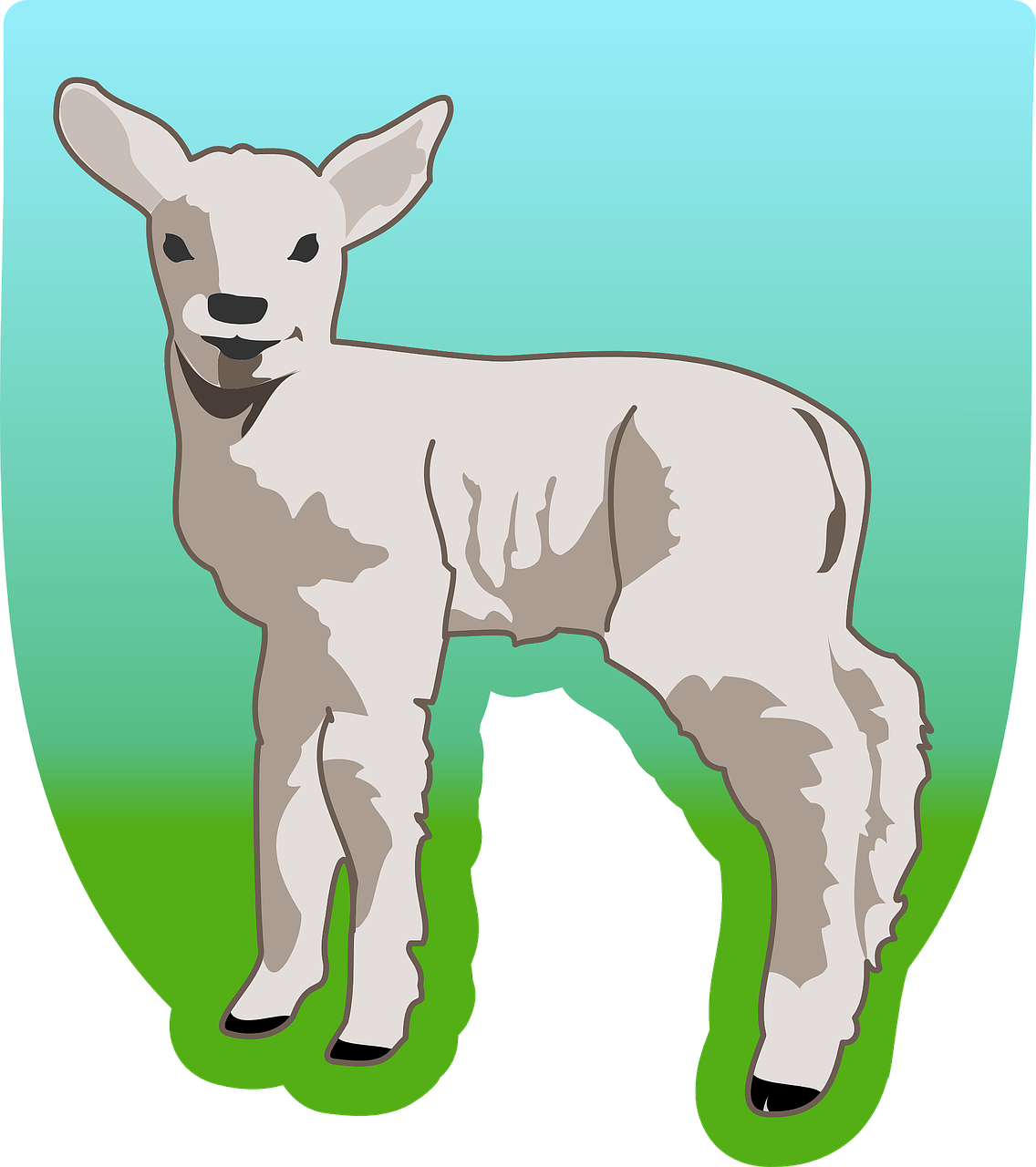 lamb sheep livestock free photo