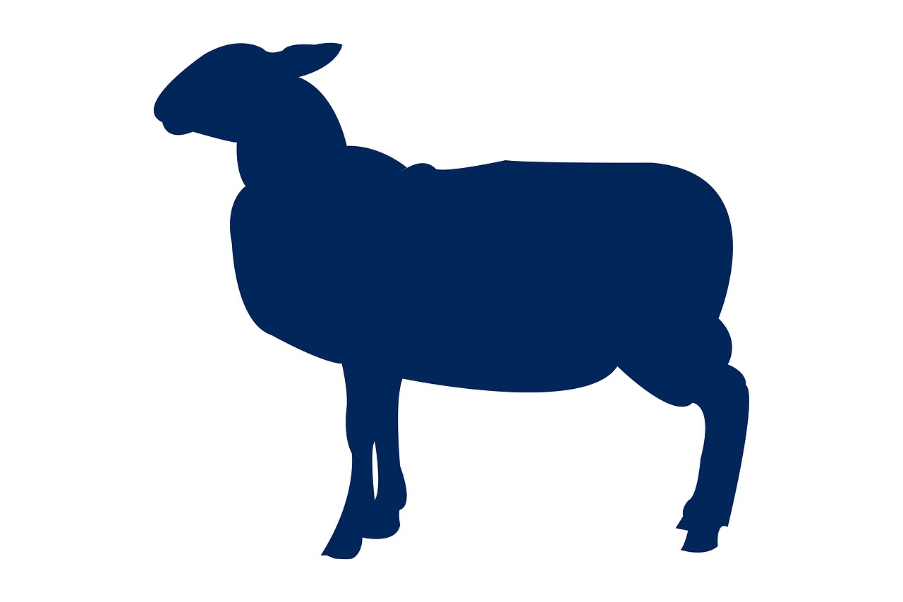 lamb  animal  silhouette free photo
