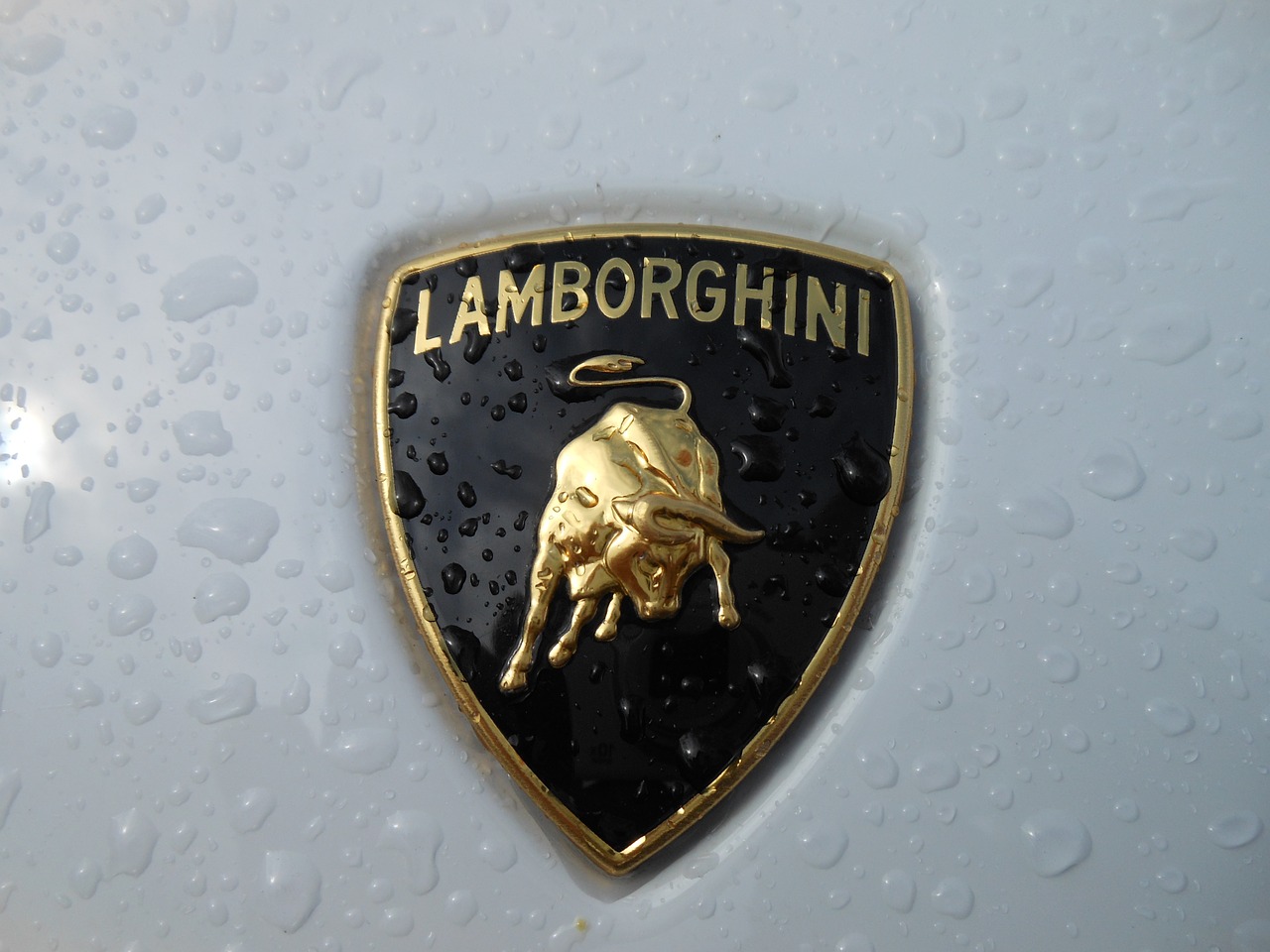 lamborghini white emblem free photo