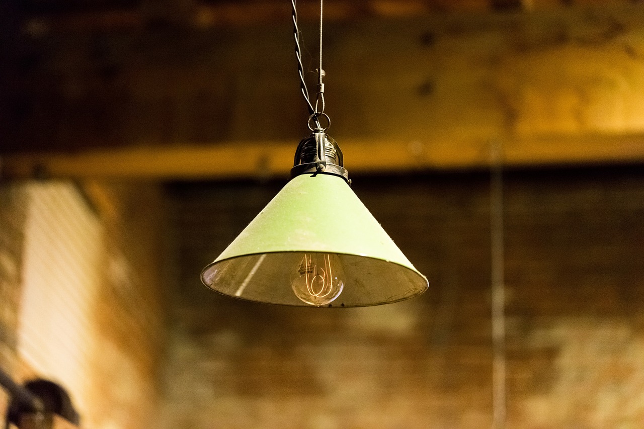 lamp lightbulb electricity free photo