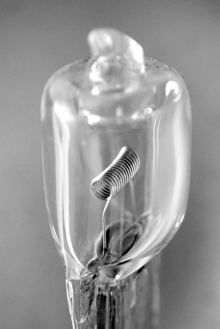 bulb lamp close-up free photo