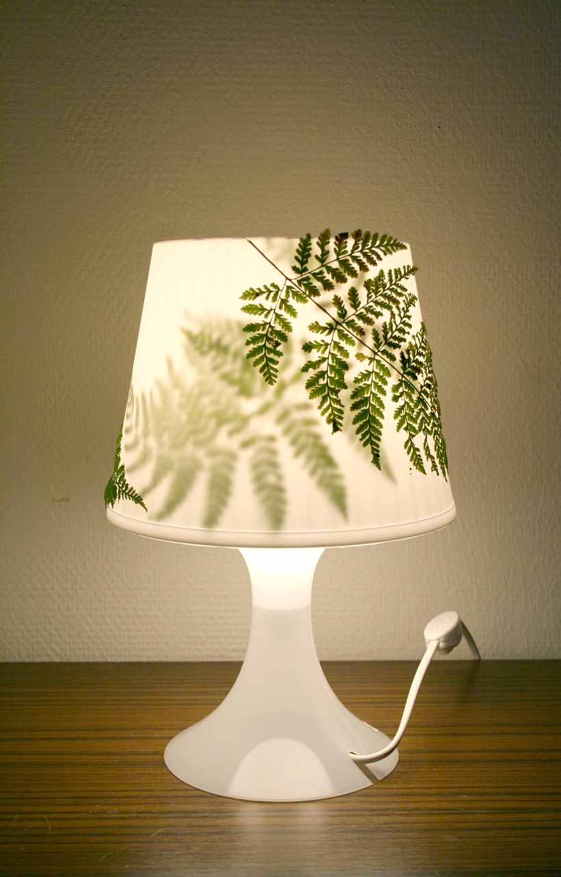 lamp fern design free photo