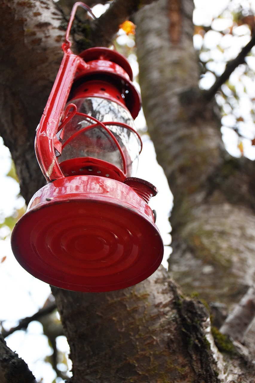 lamp tree red free photo