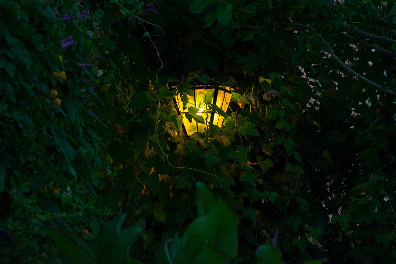 lamp vegetation dusk free photo