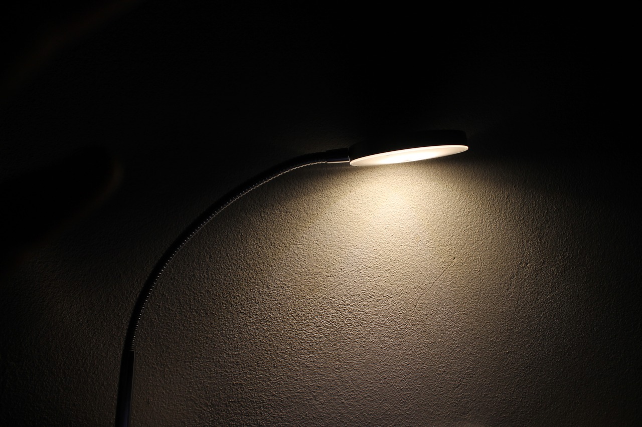 lamp light bulb free photo
