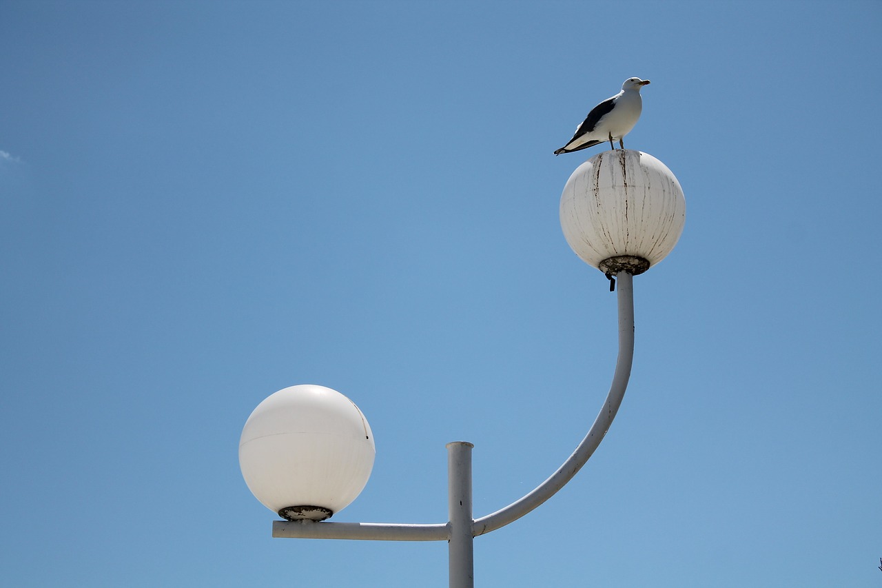 lamp ball sky free photo