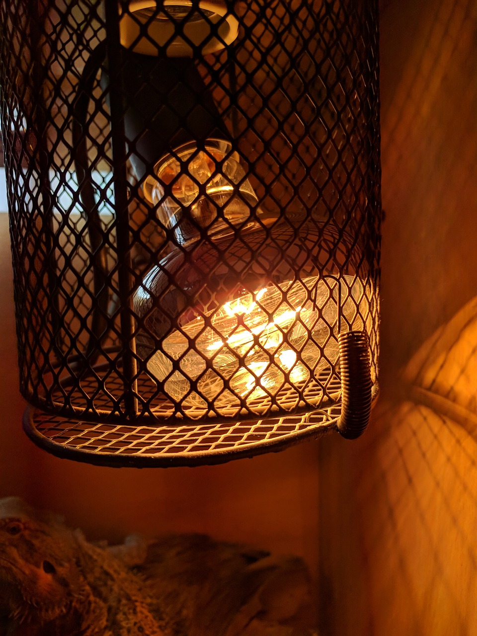 lamp  candle  light free photo