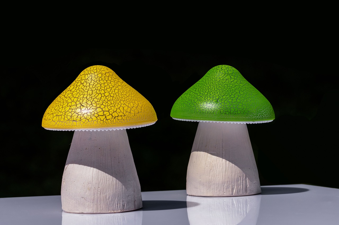 lamp  led  mushroom free photo