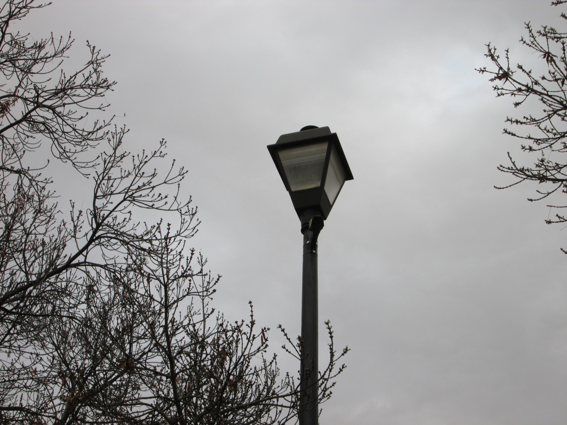 lamp outdoor park free photo