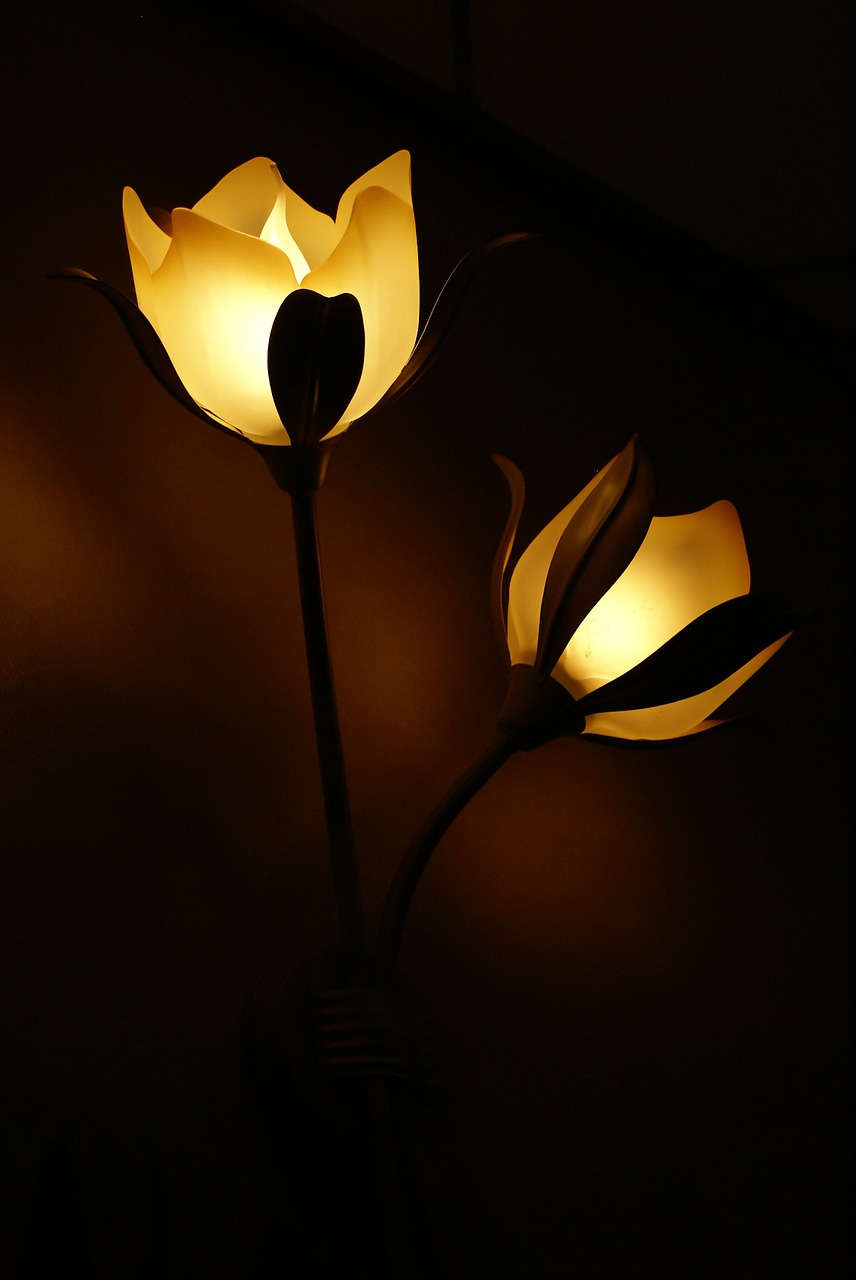 lamp flower light free photo
