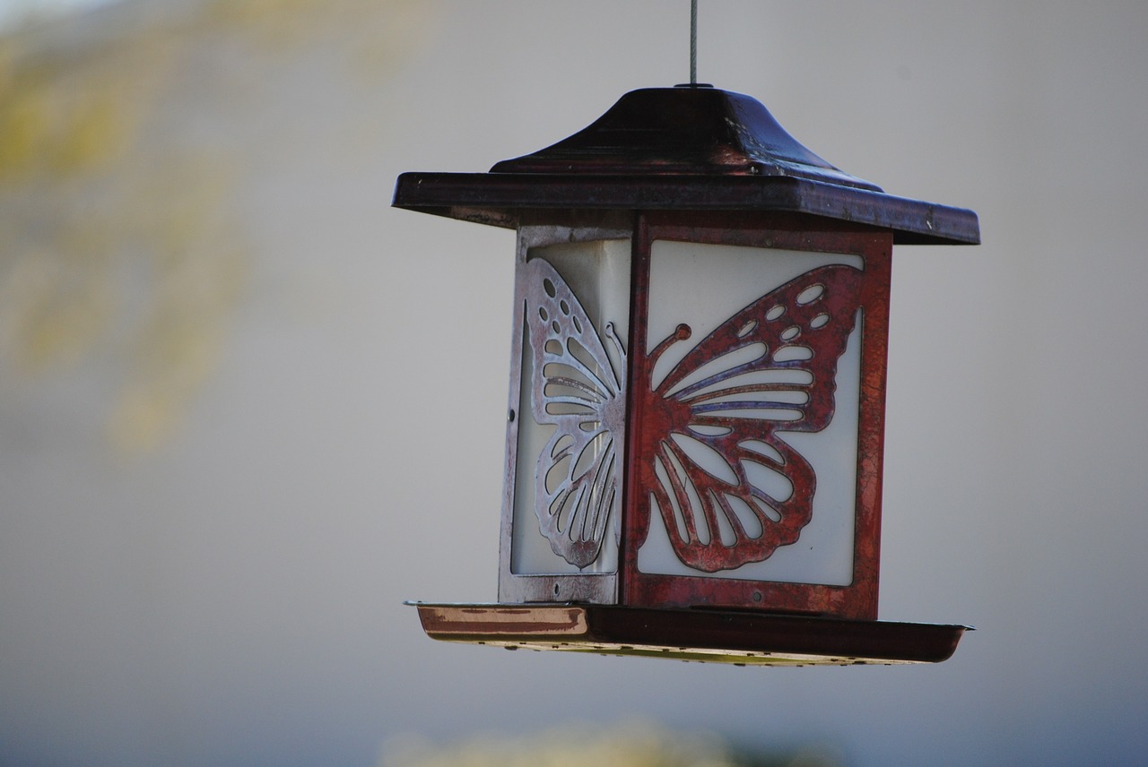 lamp butterfly symbol free photo