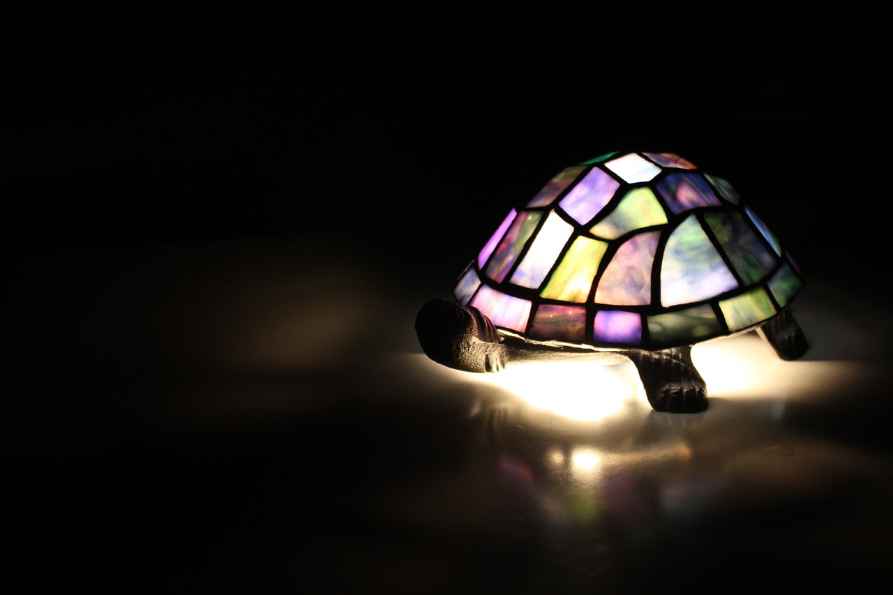 lamp light turtle free photo