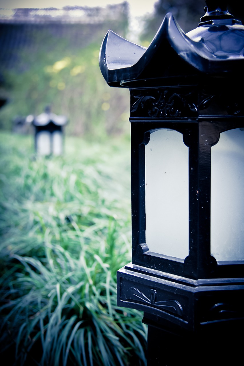 lamp grassland black free photo