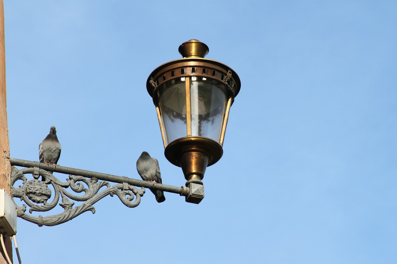 lamp street lamp light free photo