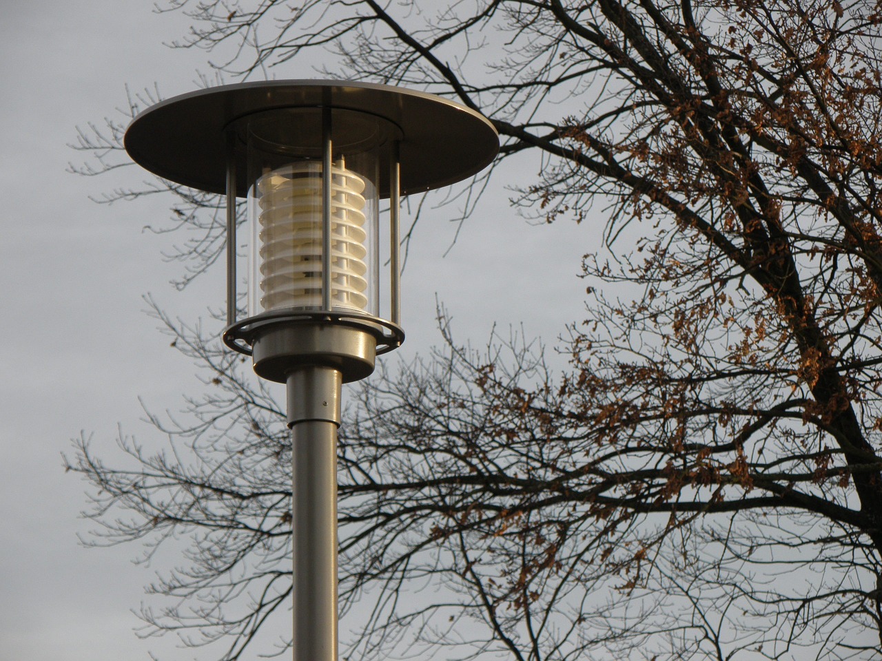 lamp public lighting lighting free photo
