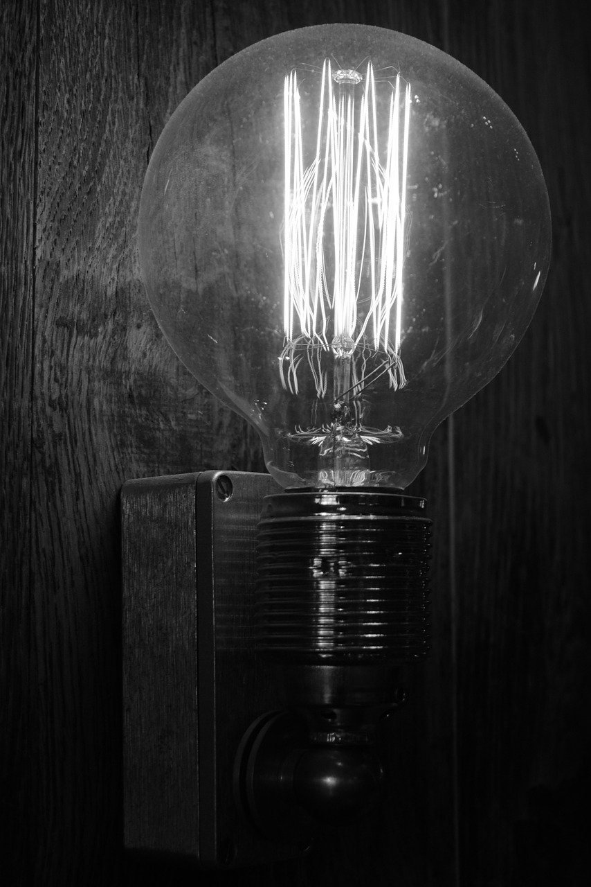 lamp light bulb lighting free photo