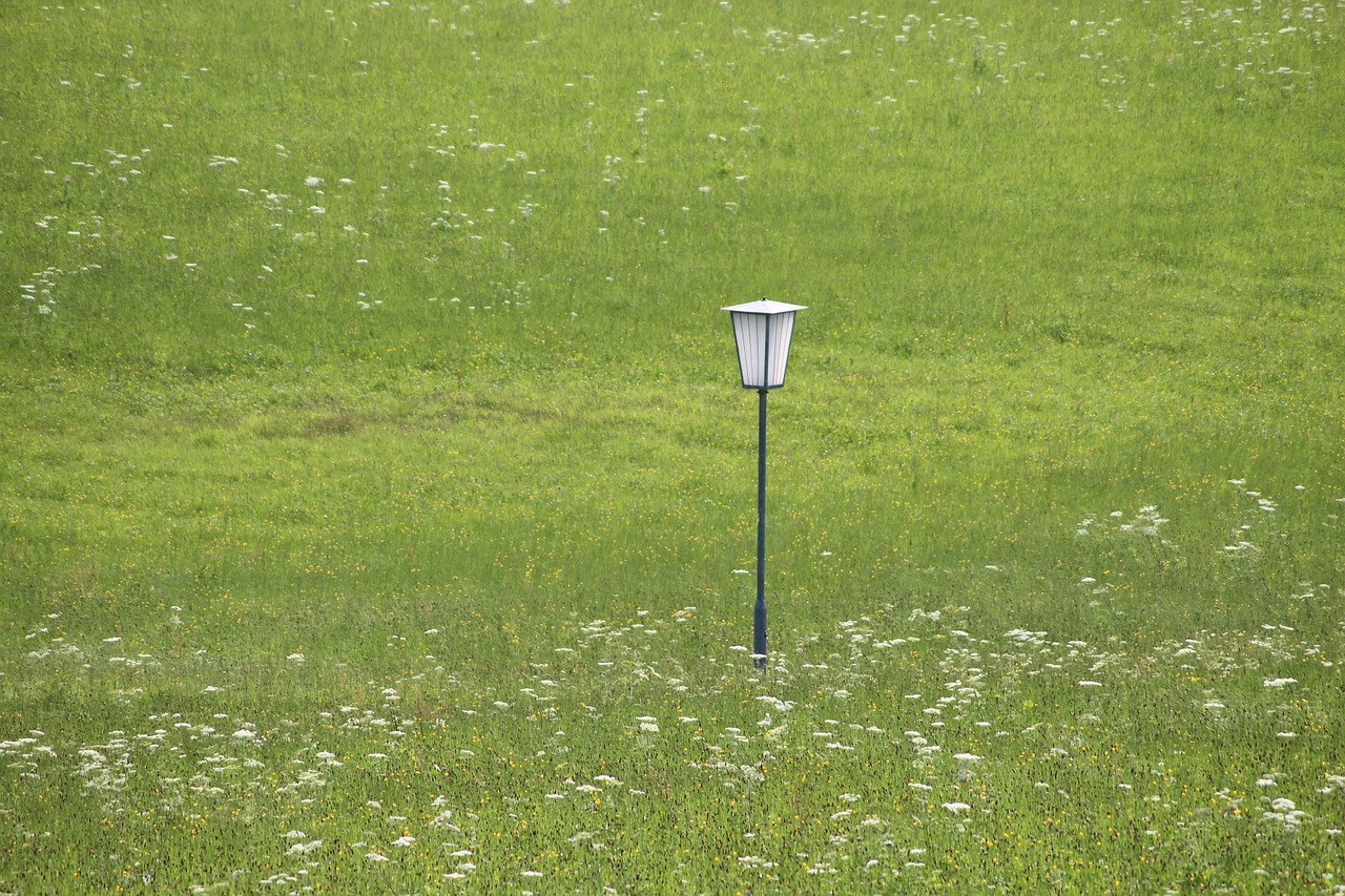 lamp meadow lantern free photo