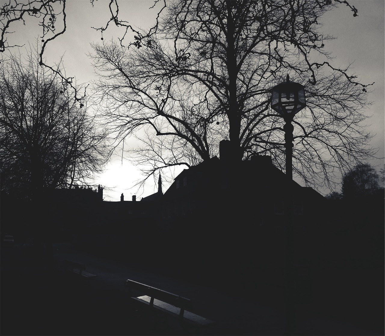 lamp post benches path free photo