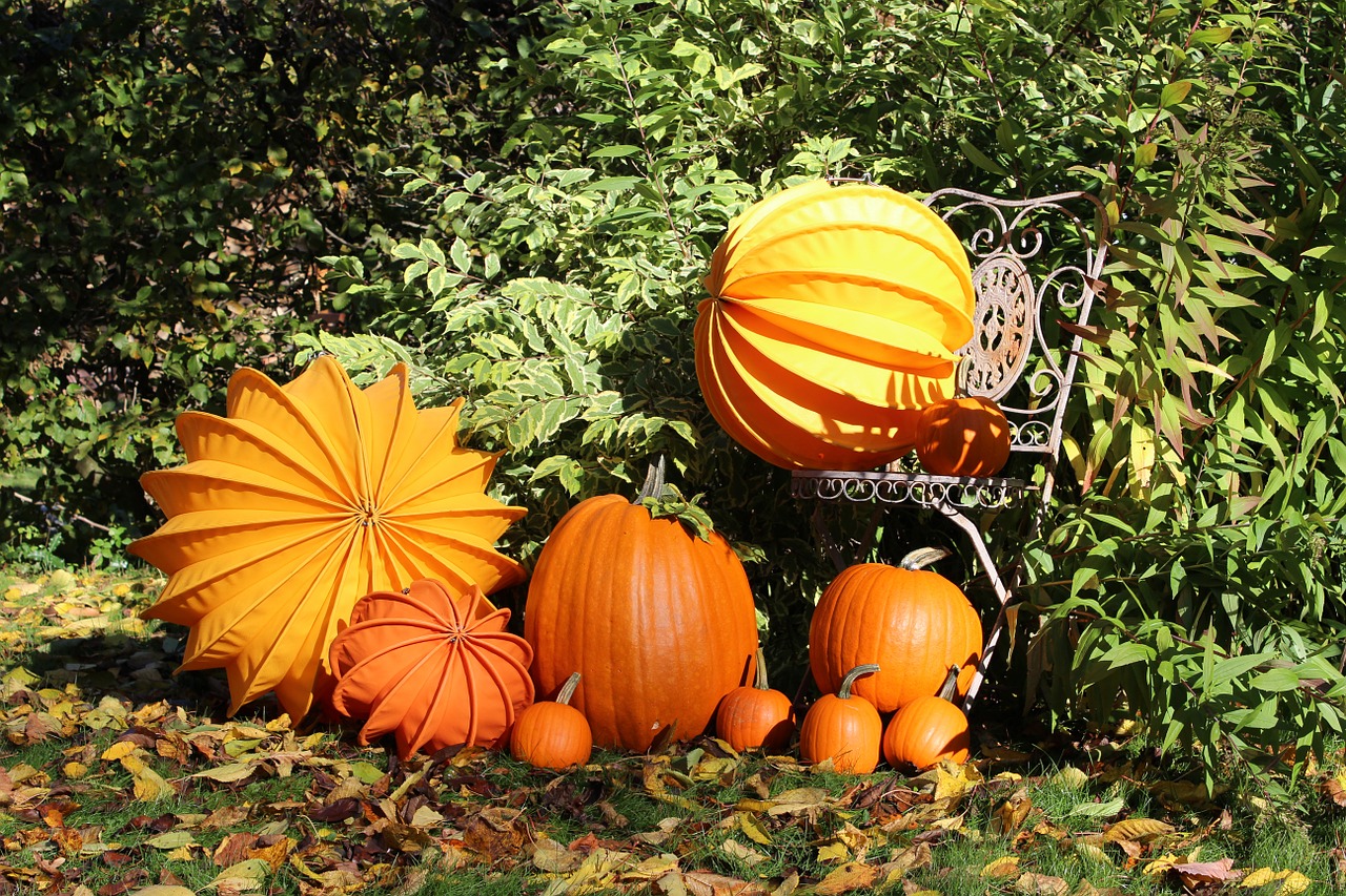 lampion chinese lanterns autumn free photo