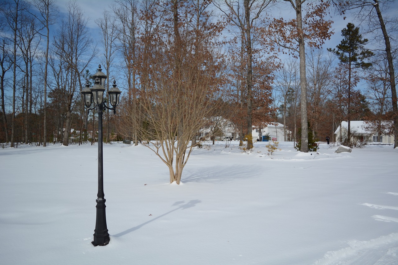 lamppost snow winter free photo