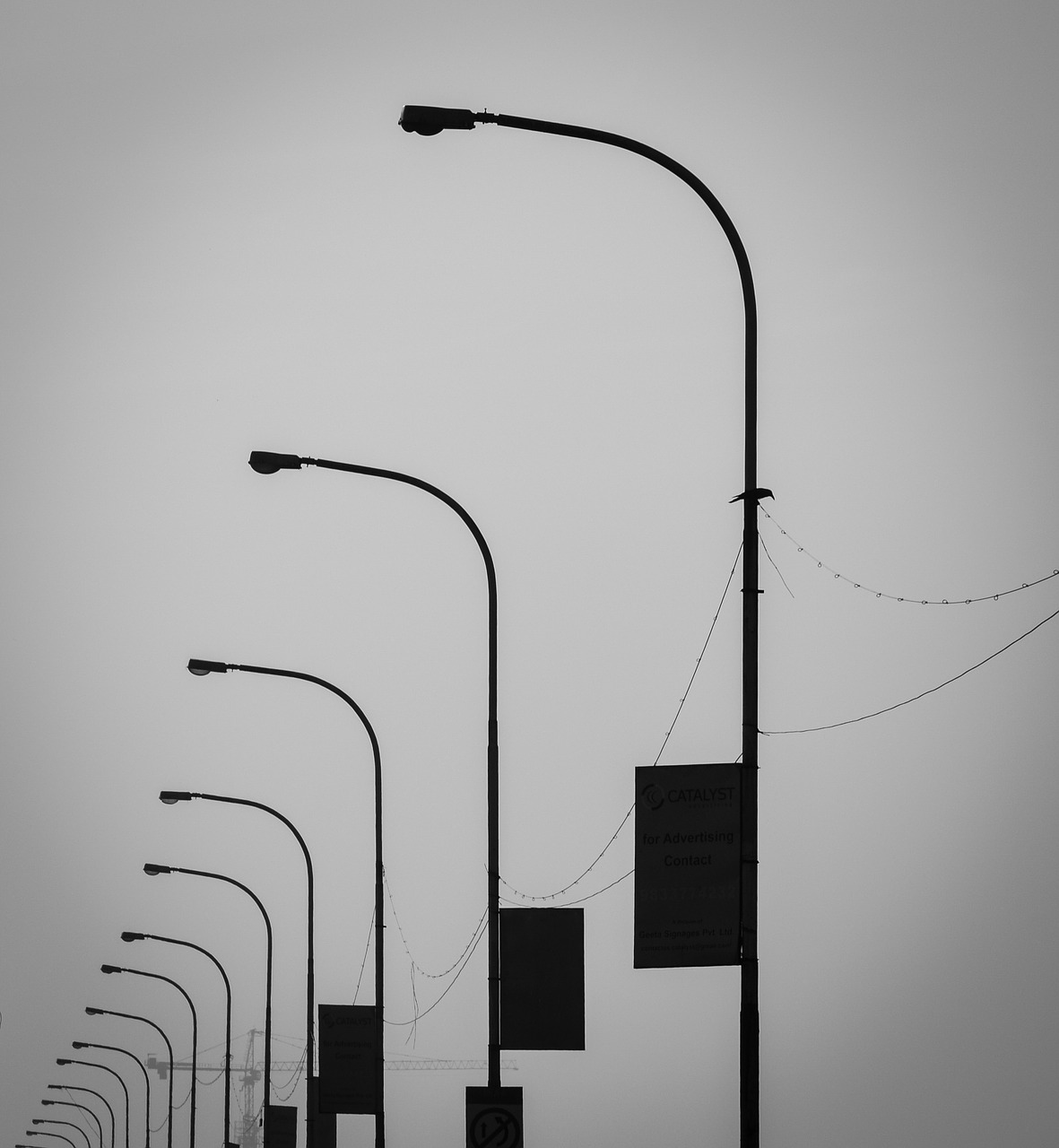 lamps walkoflife lonely free photo