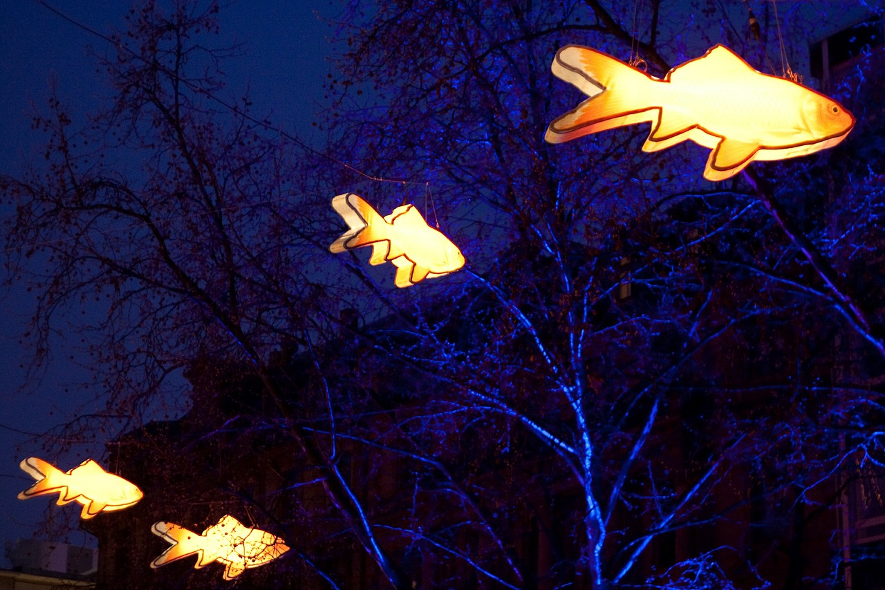 lamps lighting fish free photo