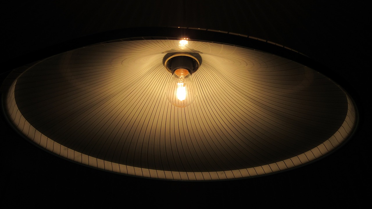 lampshade light bulb lamp free photo